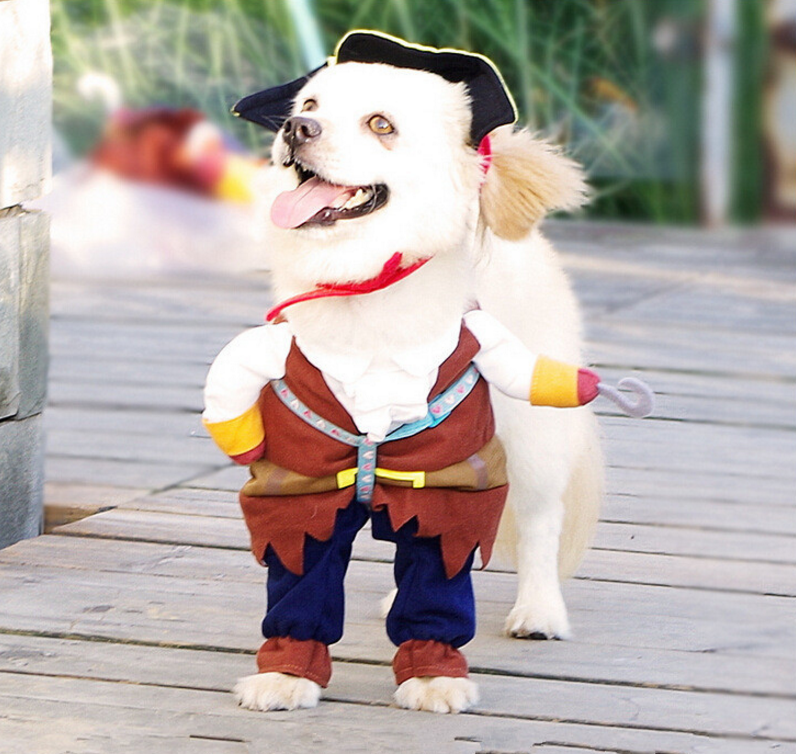 Pet make up outfit, pirate dog suit