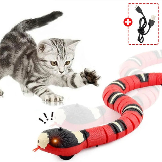Cat Snake Toy