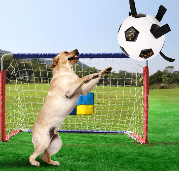 Pet Ball Toy Outdoor Ball Football Dog Training Ball Multifunctional Rope