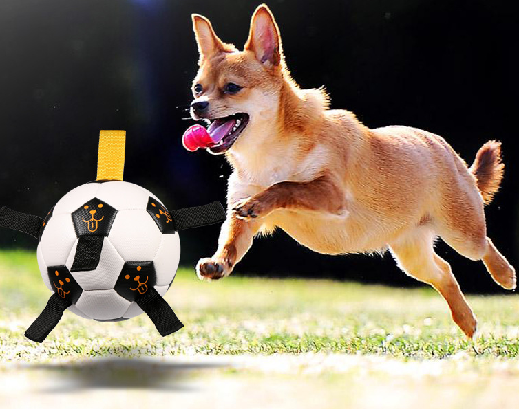Pet Ball Toy Outdoor Ball Football Dog Training Ball Multifunctional Rope