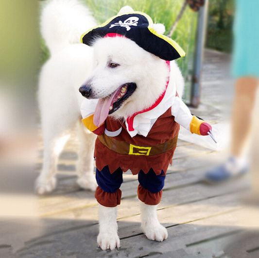 Pet make up outfit, pirate dog suit