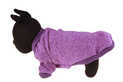 Colorful pet clothes pet two-legged sweater