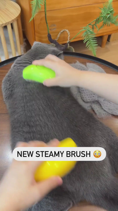 Cat & Dog Steam Brush