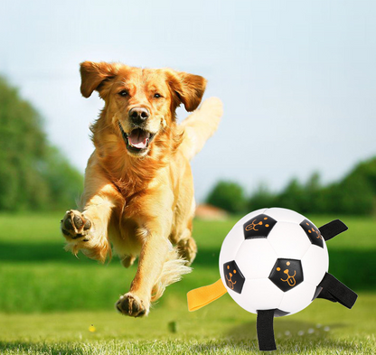 Pet Ball Toy Outdoor Ball Football Dog Training Ball Multifunctional Rope