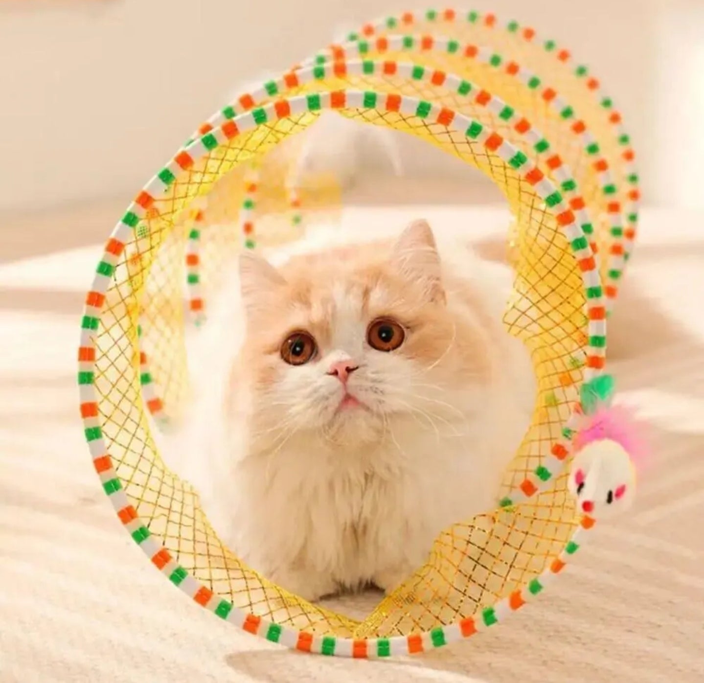 Pet Products S-shaped Cat Tunnel Toy Foldable Channel Self Hi Cat Toy